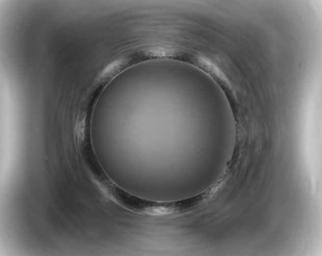 X0000085770163200703161151