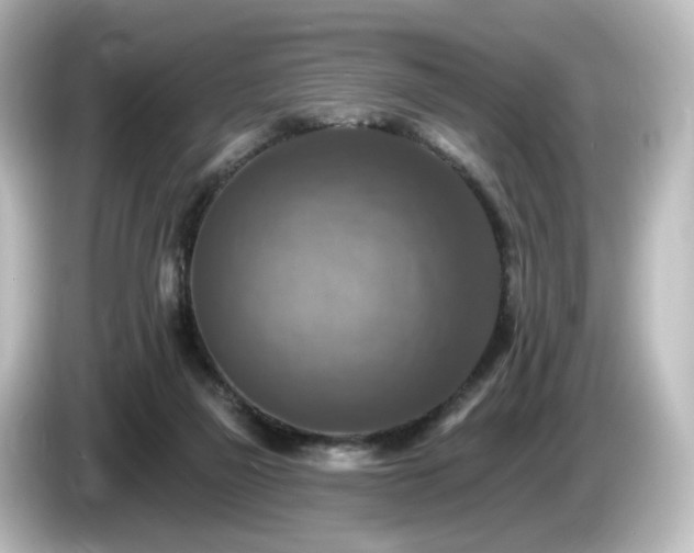 X0000085770165200703161151