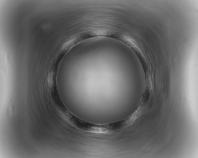 X0000085770167200703161151