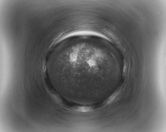 X0000085770168200703161151