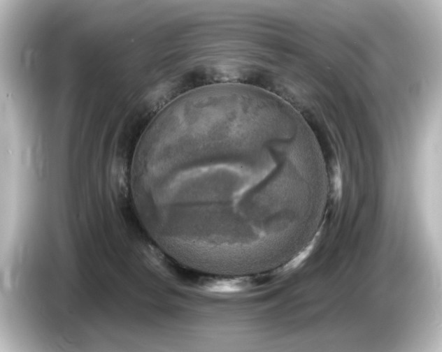 X0000085770178200703161151