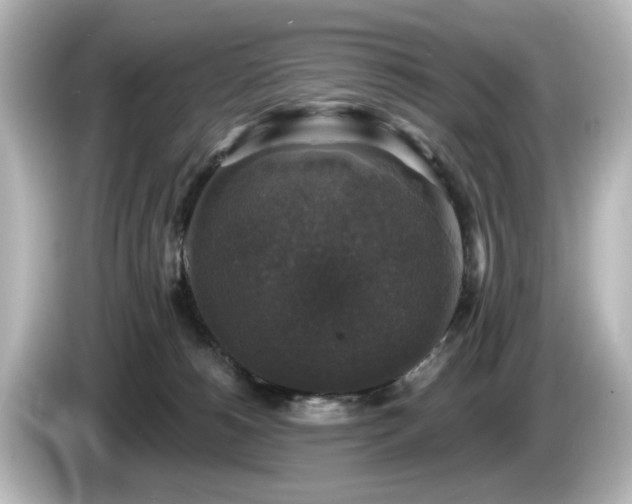 X0000085770180200703161151