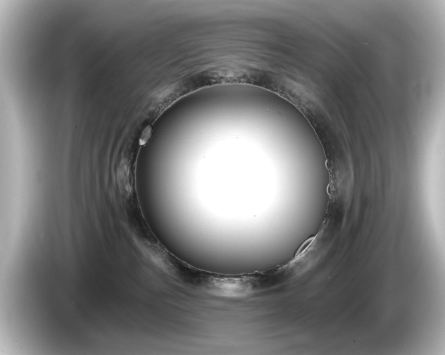 X0000085770187200703161151