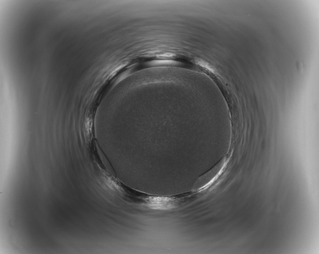 X0000085770192200703161151