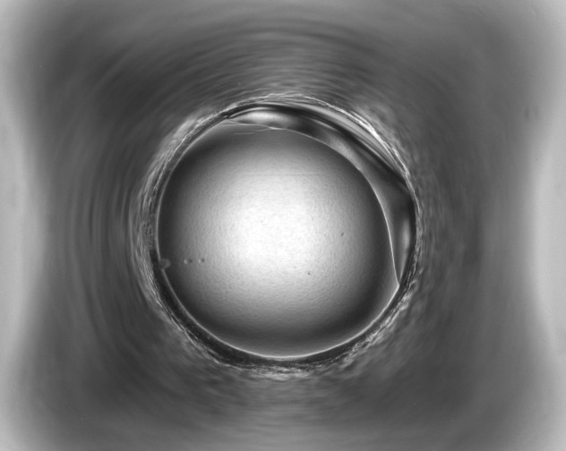 X0000085770193200703161150