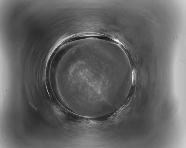 X0000085770195200703161150