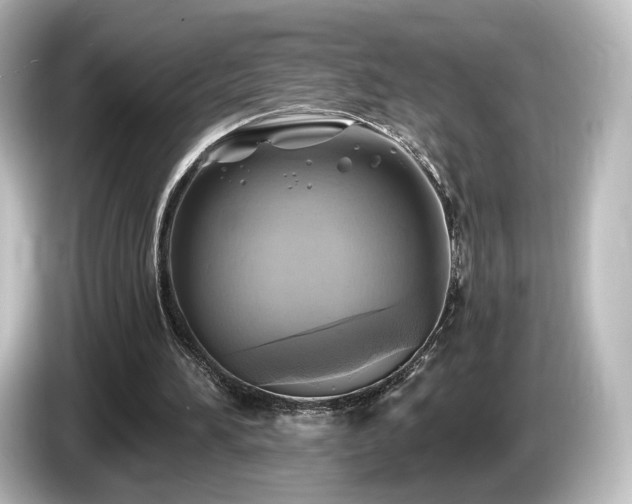 X0000085770196200703161150