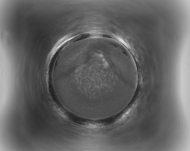 X0000085770199200703161150