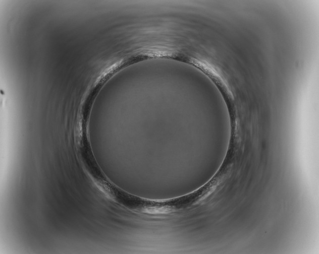 X0000085770202200703161150