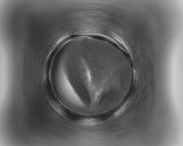 X0000085770203200703161150