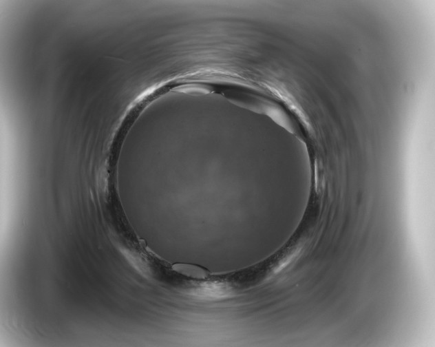 X0000085770204200703161150