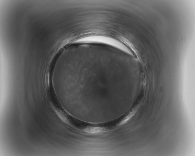 X0000085770205200703161150