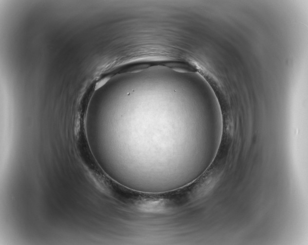 X0000085770206200703161150