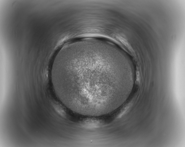 X0000085770207200703161150