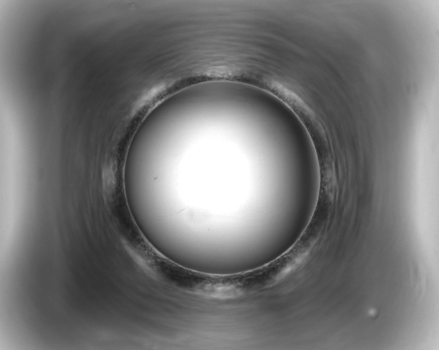 X0000085770208200703161150