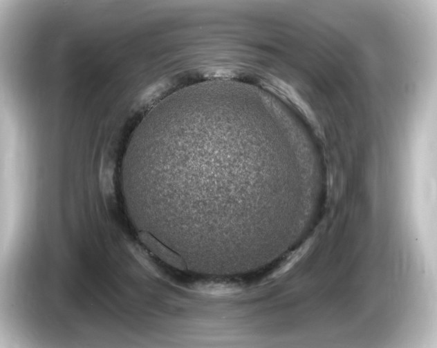 X0000085770209200703161150