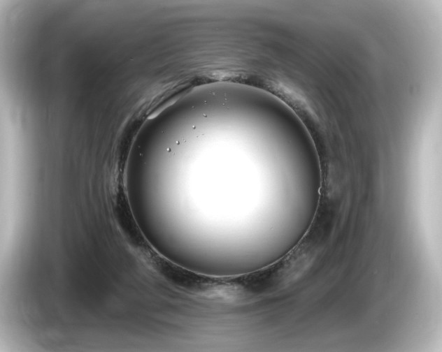 X0000085770210200703161150