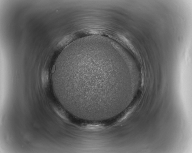 X0000085770213200703161150