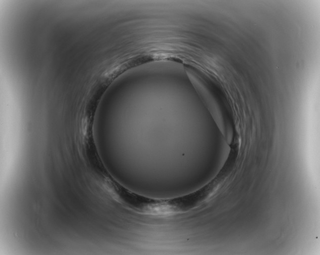 X0000085770219200703161150