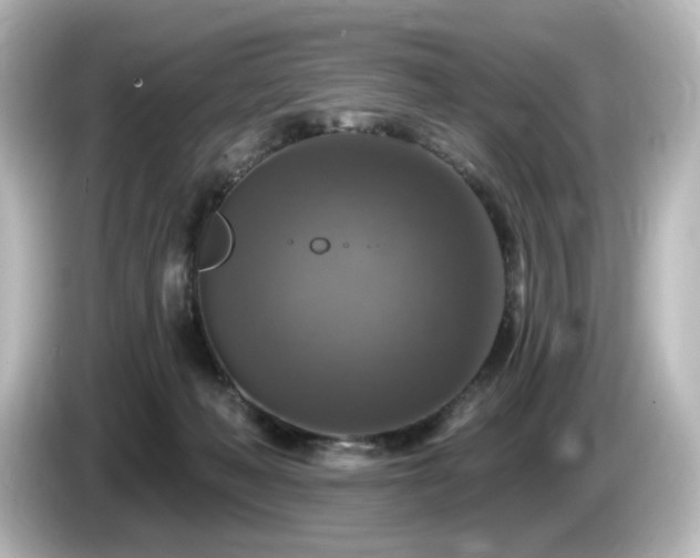 X0000085770222200703161150