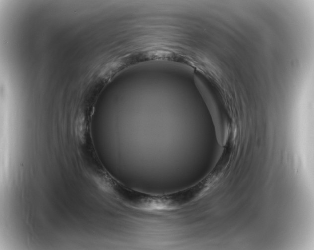 X0000085770223200703161150