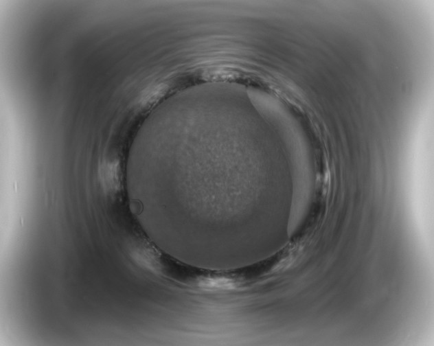 X0000085770224200703161150