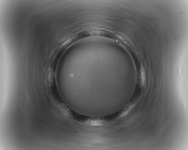 X0000085770228200703161150