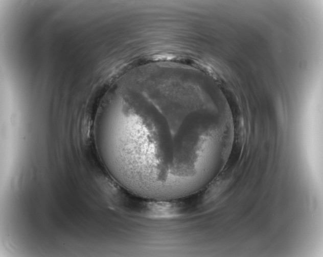 X0000085770230200703161150