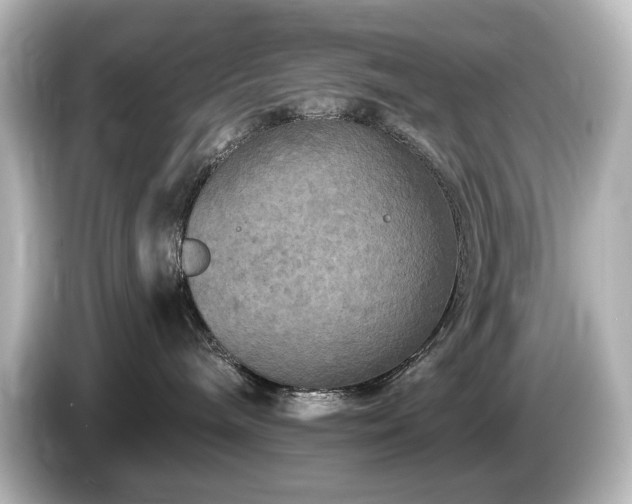 X0000085770240200703161150