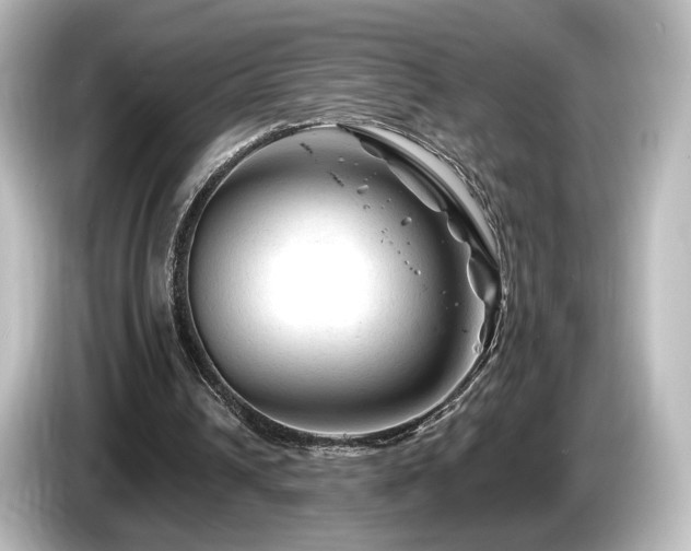 X0000085770242200703161149