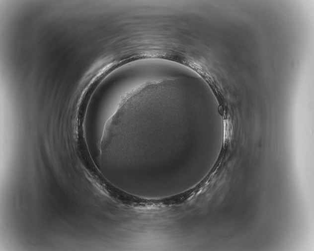 X0000085770243200703161149