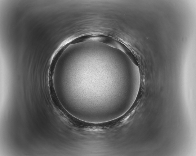 X0000085770244200703161149