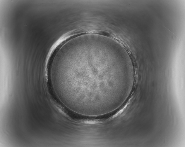 X0000085770246200703161149