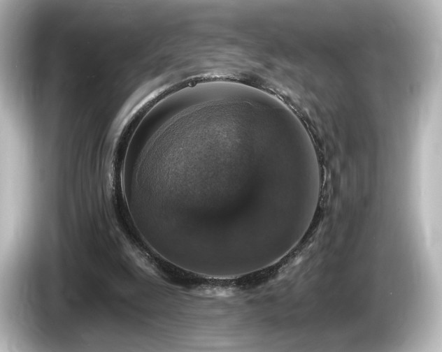 X0000085770247200703161149