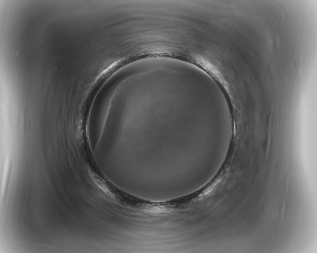 X0000085770249200703161149