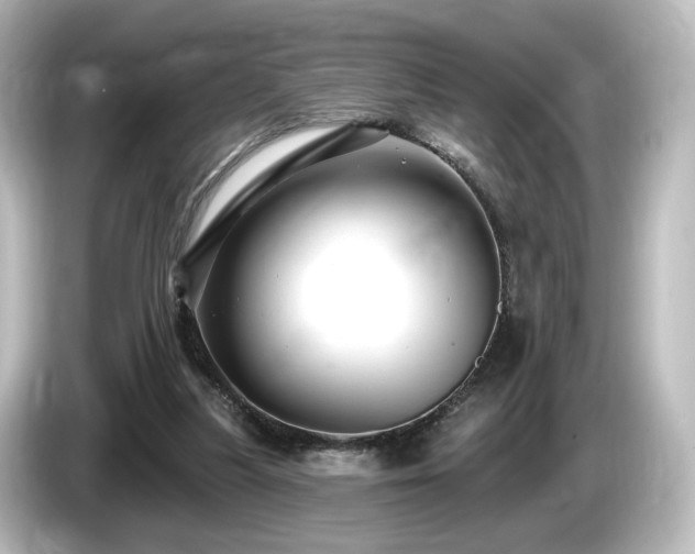 X0000085770251200703161149