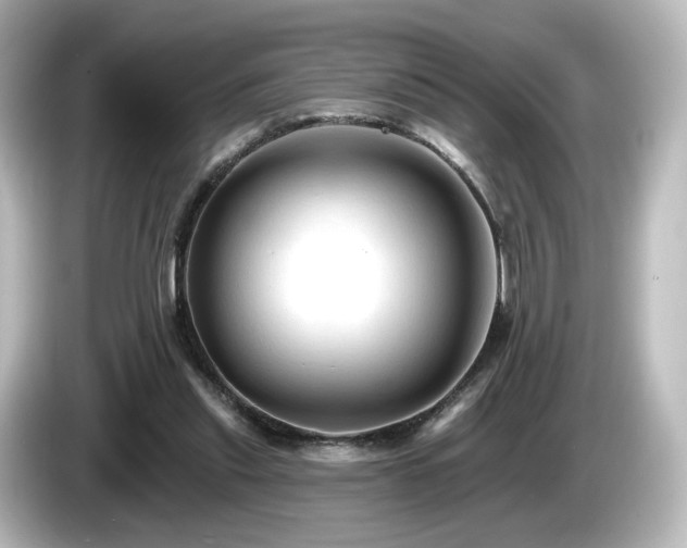 X0000085770253200703161149