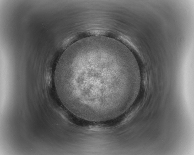 X0000085770259200703161149