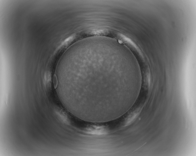 X0000085770260200703161149