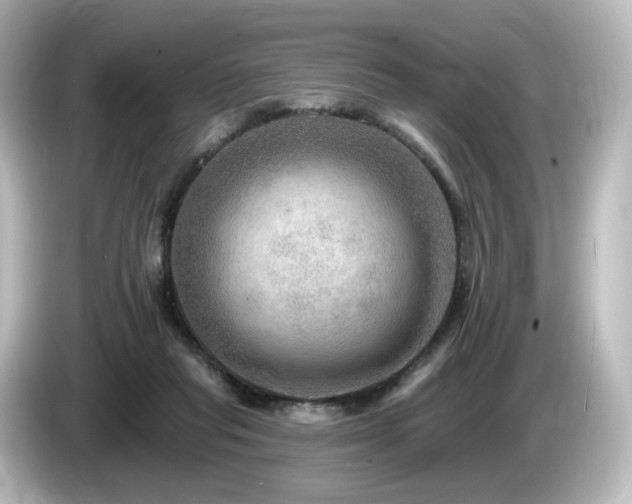 X0000085770261200703161149