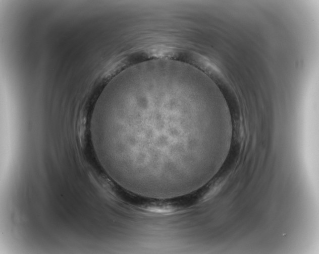 X0000085770263200703161149