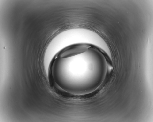 X0000085770264200703161149