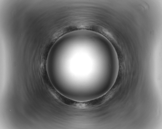 X0000085770265200703161149