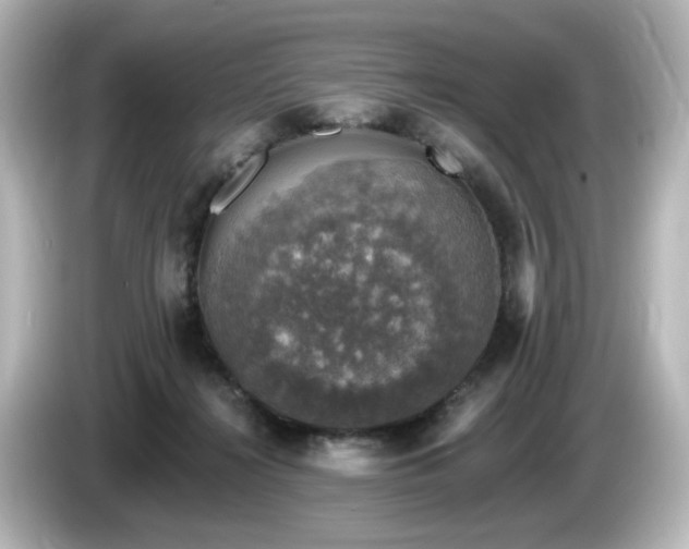 X0000085770268200703161149