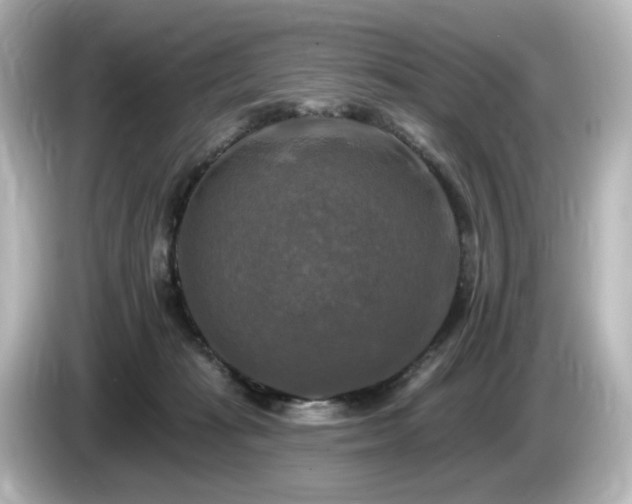 X0000085770269200703161149