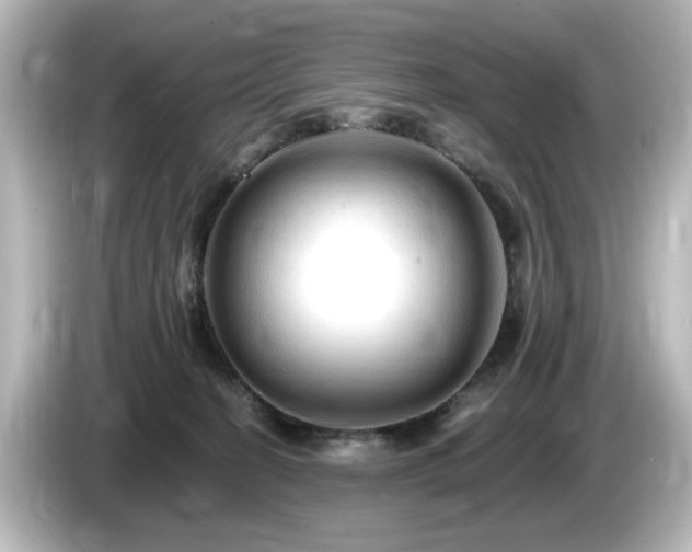 X0000085770274200703161149