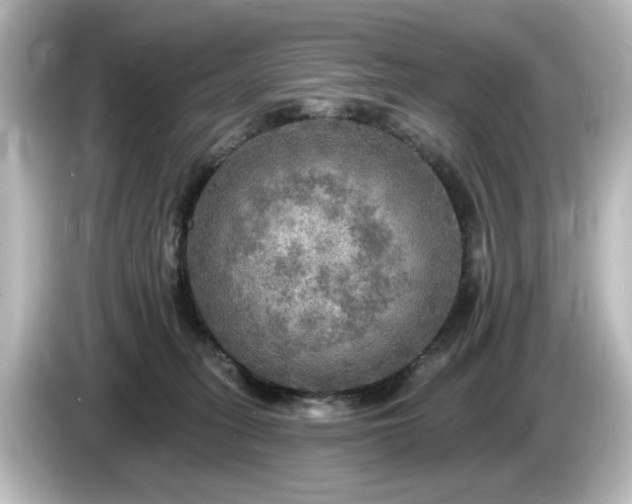 X0000085770275200703161150