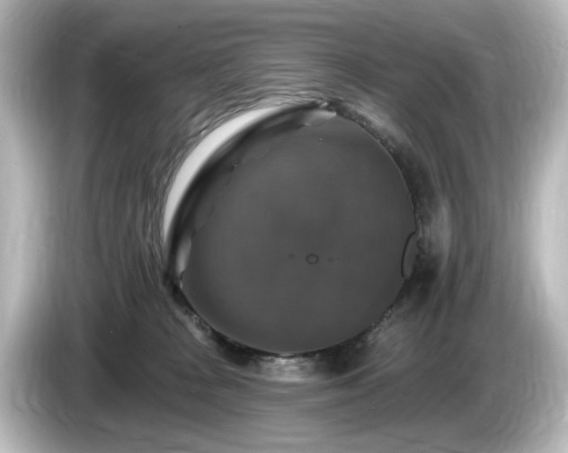 X0000085770277200703161150