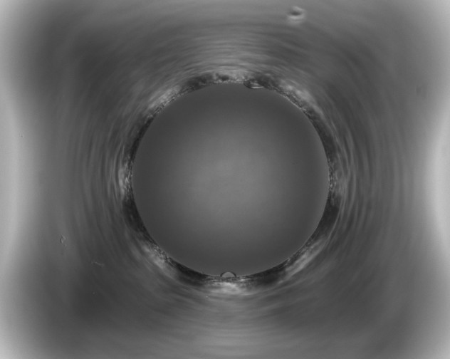 X0000085770285200703161150