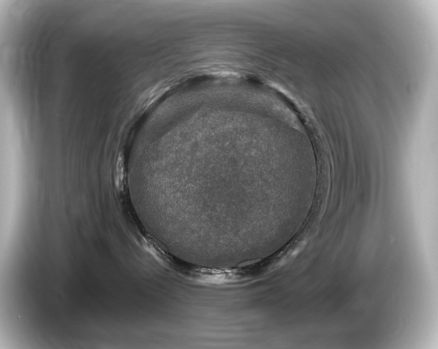 X0000085770288200703161150